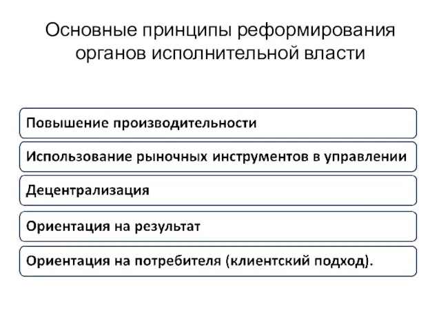 Основные принципы реформирования органов исполнительной власти