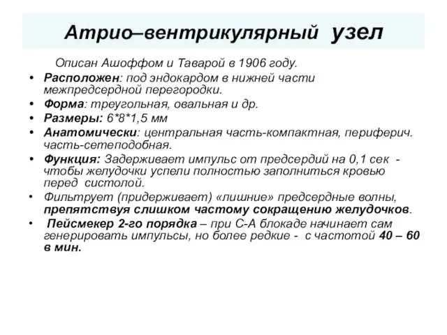 Атрио–вентрикулярный узел Описан Ашоффом и Таварой в 1906 году. Расположен: