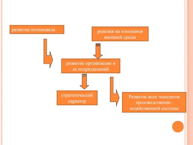 развитие потенциала развитие организации и ее подразделений Развитие всех элементов