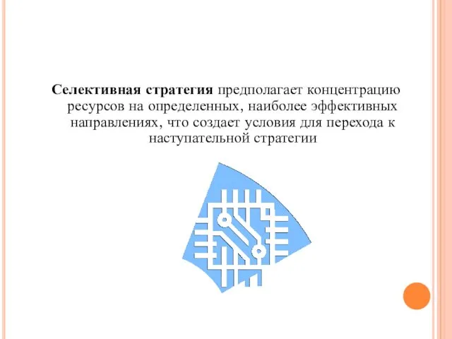 Селективная стратегия предполагает концентрацию ресурсов на определенных, наиболее эффективных направлениях,