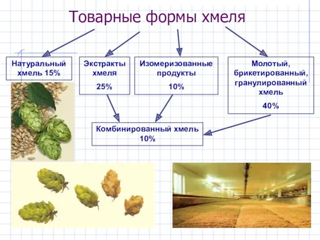 Товарные формы хмеля Молотый, брикетированный, гранулированный хмель 40% Экстракты хмеля