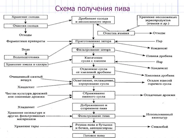 Схема получения пива