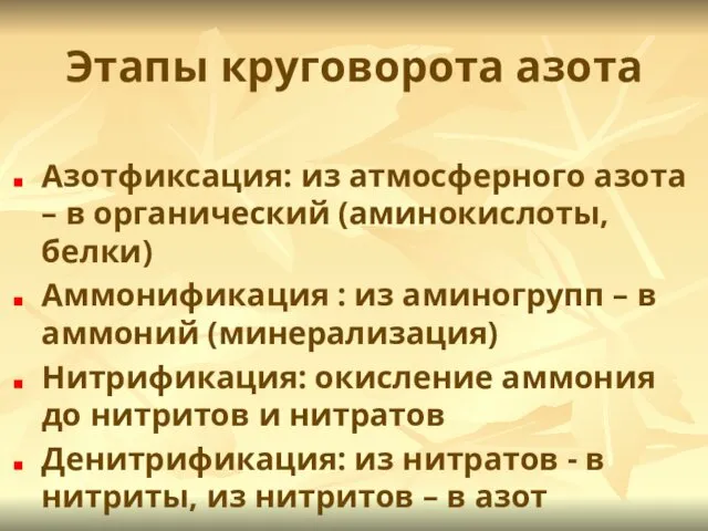 Этапы круговорота азота Азотфиксация: из атмосферного азота – в органический