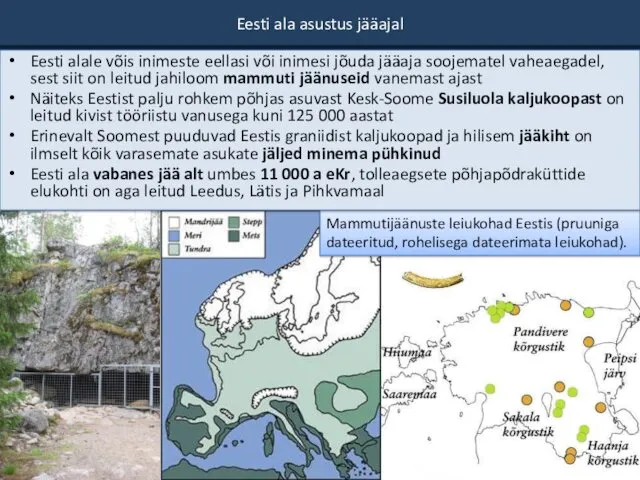 Eesti ala asustus jääajal Mammutijäänuste leiukohad Eestis (pruuniga dateeritud, rohelisega