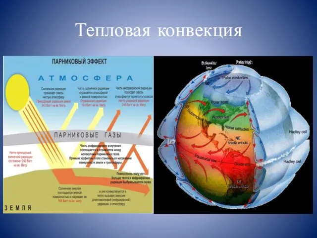 Тепловая конвекция