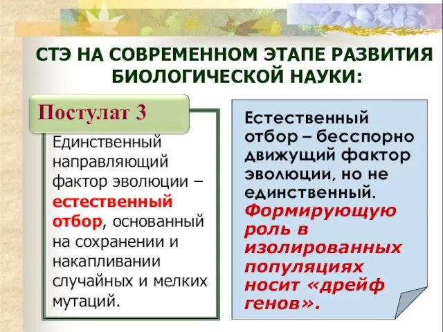 Естественный отбор – бесспорно движущий фактор эволюции, но не единственный.