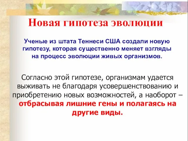 Новая гипотеза эволюции Ученые из штата Теннеси США создали новую