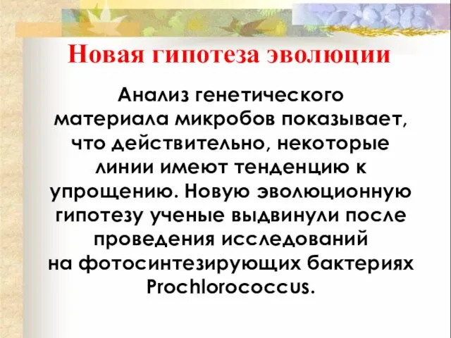 Новая гипотеза эволюции Анализ генетического материала микробов показывает, что действительно,