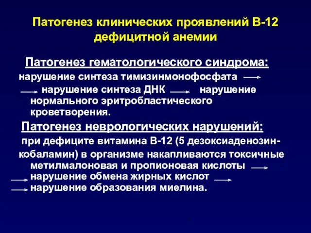 Патогенез клинических проявлений В-12 дефицитной анемии Патогенез гематологического синдрома: нарушение