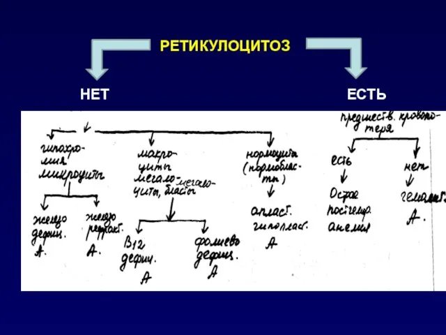 РЕТИКУЛОЦИТОЗ НЕТ ЕСТЬ