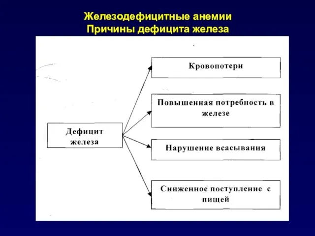 Железодефицитные анемии Причины дефицита железа