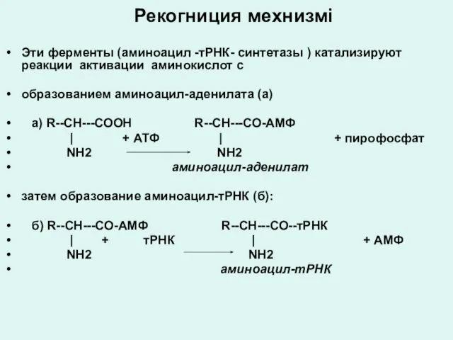 Рекогниция мехнизмі Эти ферменты (аминоацил -тРНК- синтетазы ) катализируют реакции активации аминокислот с