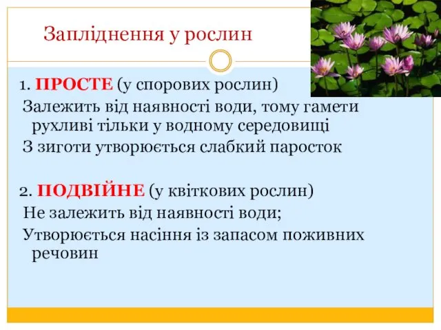 Запліднення у рослин 1. ПРОСТЕ (у спорових рослин) Залежить від наявності води, тому