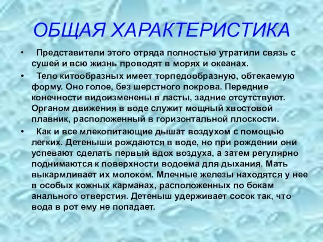 ОБЩАЯ ХАРАКТЕРИСТИКА Представители этого отряда полностью утратили связь с сушей