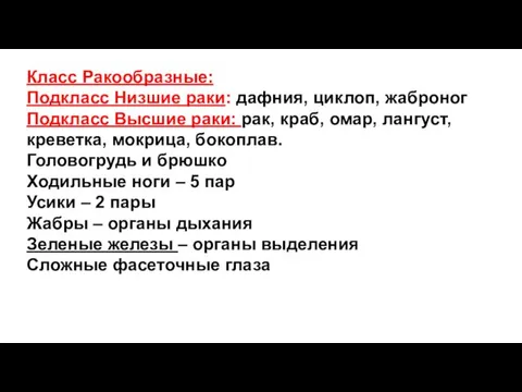 Класс Ракообразные: Подкласс Низшие раки: дафния, циклоп, жаброног Подкласс Высшие