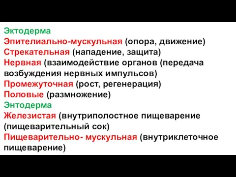 Эктодерма Эпителиально-мускульная (опора, движение) Стрекательная (нападение, защита) Нервная (взаимодействие органов