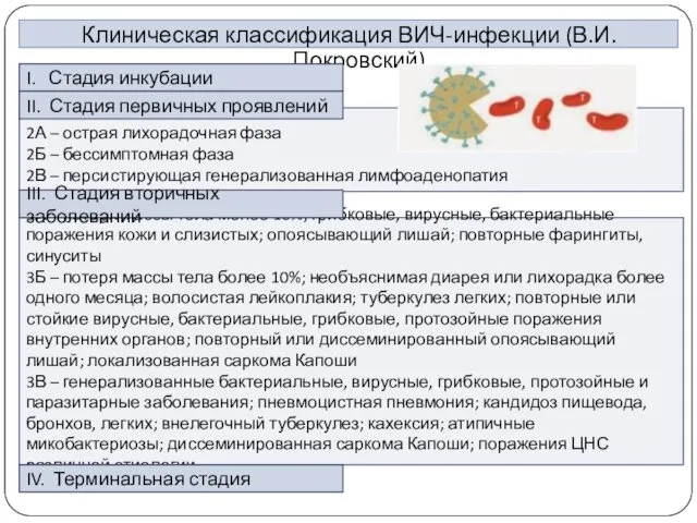 2А – острая лихорадочная фаза 2Б – бессимптомная фаза 2В