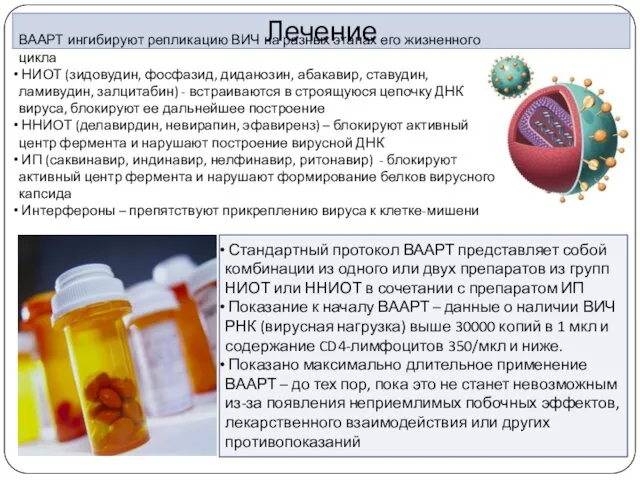 Лечение ВААРТ ингибируют репликацию ВИЧ на разных этапах его жизненного