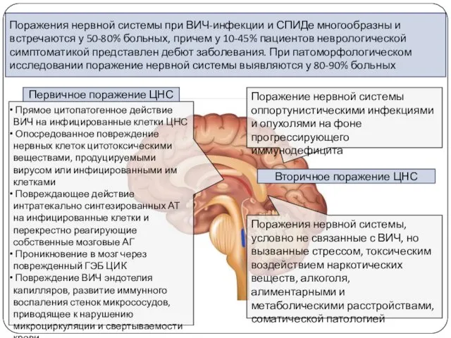 Поражения нервной системы при ВИЧ-инфекции и СПИДе многообразны и встречаются