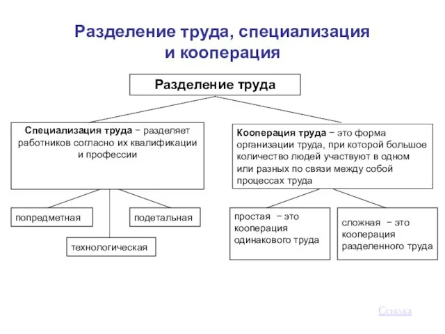 Разделение труда, специализация и кооперация Ссылка Разделение труда Специализация труда