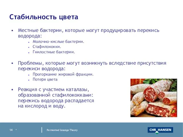 * Fermented Sausage Theory Стабильность цвета Местные бактерии, которые могут