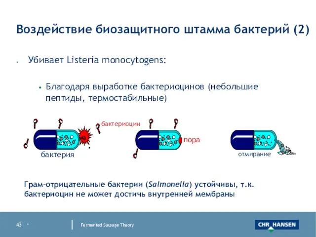 * Fermented Sausage Theory Воздействие биозащитного штамма бактерий (2) Убивает