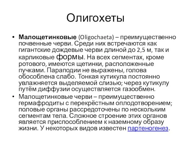 Олигохеты Малощетинковые (Oligochaeta) – преимущественно почвенные черви. Среди них встречаются