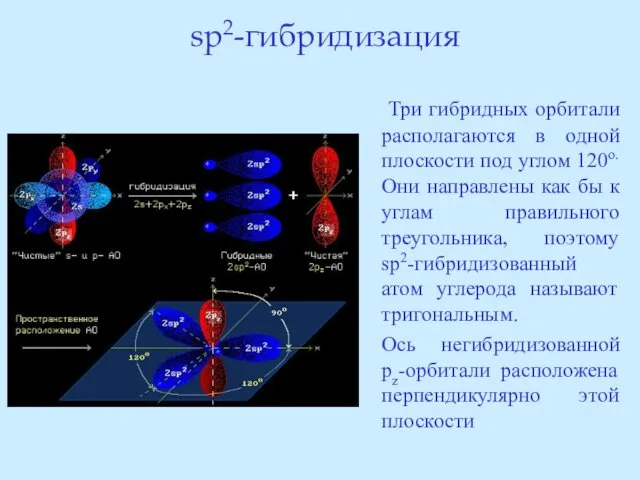 sp2-гибридизация Три гибридных орбитали располагаются в одной плоскости под углом