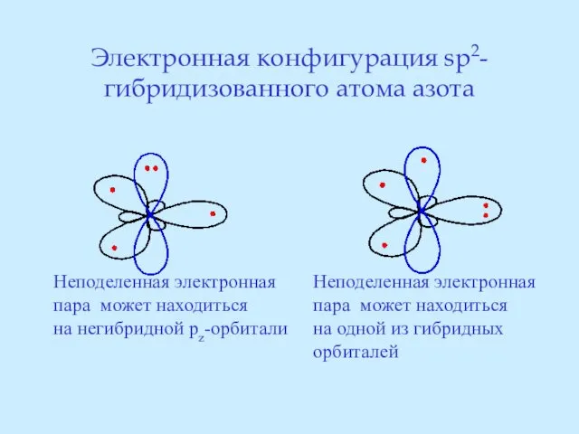 Электронная конфигурация sp2-гибридизованного атома азота Неподеленная электронная пара может находиться