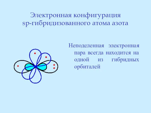 Электронная конфигурация sp-гибридизованного атома азота Неподеленная электронная пара всегда находится на одной из гибридных орбиталей