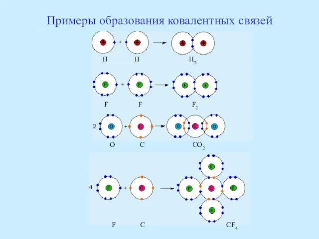 Примеры образования ковалентных связей H H H2 F F F2 O C CO2 F C CF4