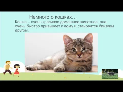 Немного о кошках… Кошка – очень красивое домашнее животное, она