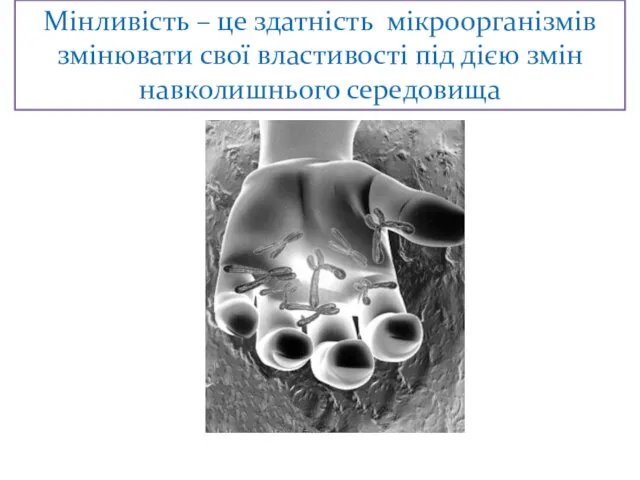 Мінливість – це здатність мікроорганізмів змінювати свої властивості під дією змін навколишнього середовища