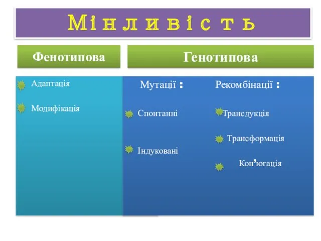 Мінливість Фенотипова Адаптація Модифікація Генотипова Мутації : Рекомбінації : Спонтанні Трансдукція Трансформація Індуковані Кон’югація