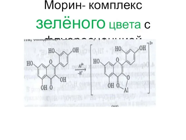 Морин- комплекс зелёного цвета с флуоресценцией