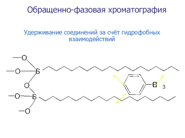 Удерживание соединений за счёт гидрофобных взаимодействий Обращенно-фазовая хроматография