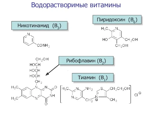 Водорастворимые витамины