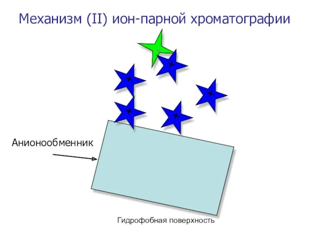 Механизм (II) ион-парной хроматографии - + + + + +