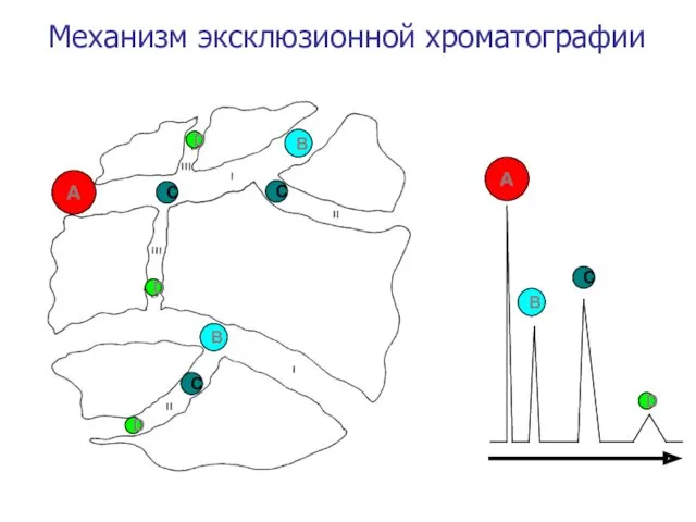 Механизм эксклюзионной хроматографии