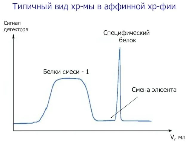 Сигнал детектора V, мл Специфический белок Белки смеси - 1