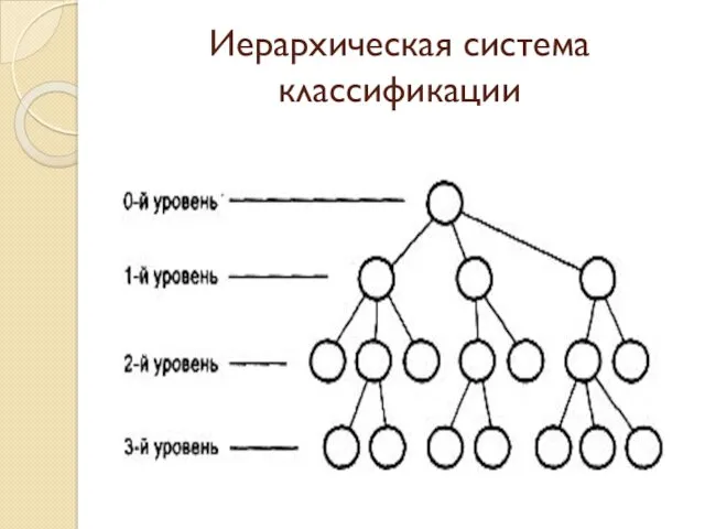 Иерархическая система классификации
