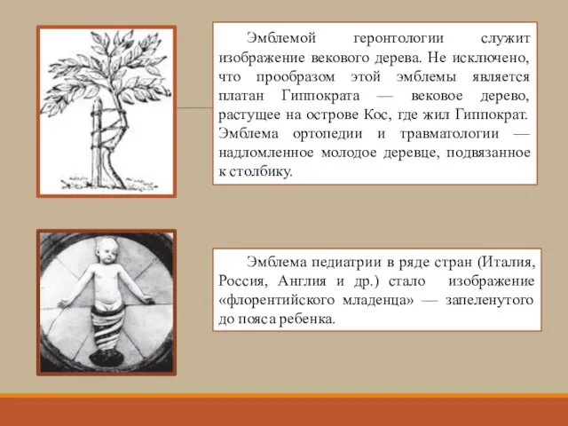 Эмблемой геронтологии служит изображение векового дерева. Не исключено, что прообразом этой эмблемы является