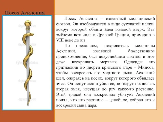 Посох Асклепия Посох Асклепия – известный медицинский символ. Он изображается в виде суковатой