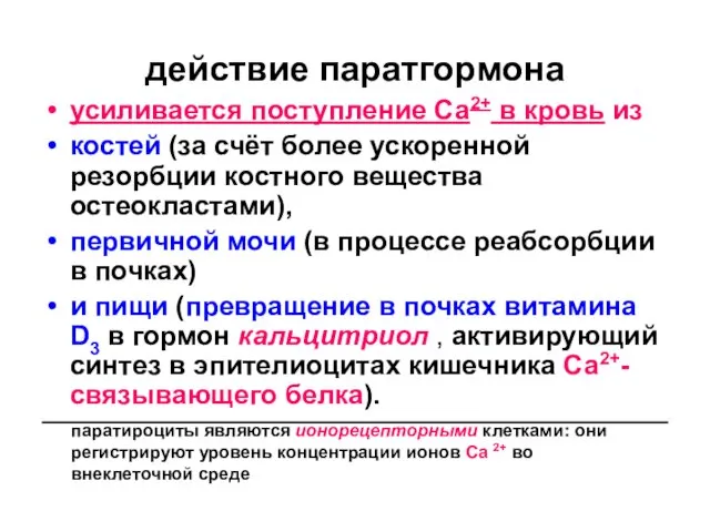 действие паратгормона усиливается поступление Са2+ в кровь из костей (за