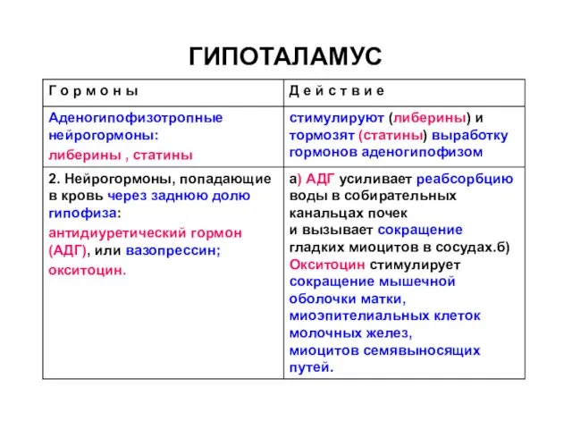 ГИПОТАЛАМУС