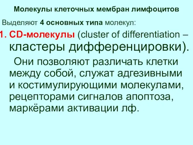 Молекулы клеточных мембран лимфоцитов Выделяют 4 основных типа молекул: CD-молекулы