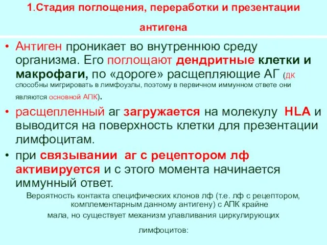 1.Стадия поглощения, переработки и презентации антигена Антиген проникает во внутреннюю