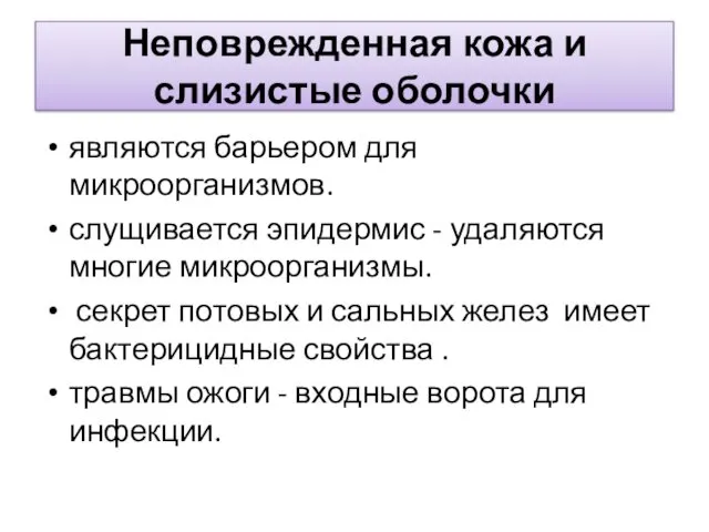 Неповрежденная кожа и слизистые оболочки являются барьером для микроорганизмов. слущивается