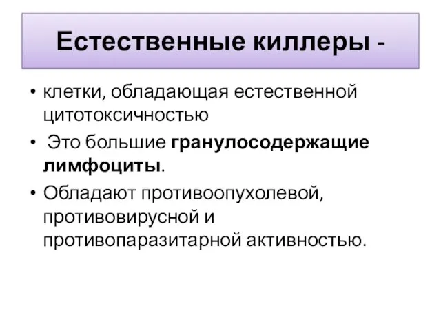 Естественные киллеры - клетки, обладающая естественной цитотоксичностью Это большие гранулосодержащие