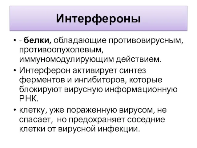 Интерфероны - белки, обладающие противовирусным, противоопухолевым, иммуномодулирующим действием. Интерферон активирует